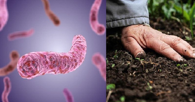 Cách để phòng bệnh vi khuẩn ăn thịt người