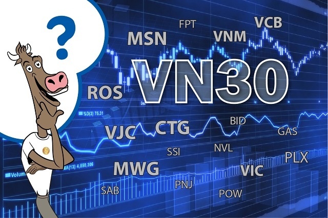 Chỉ số đại diện cho danh mục VN30 là VN30 Index